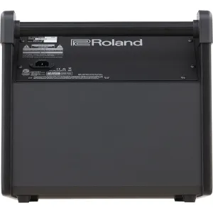 ROLAND PM-100 Ampli 80W