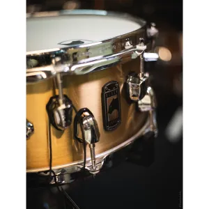 MAPEX Black Panther Caisse Claire 14"x 5,5" Metallion