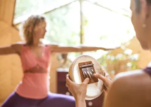 Kalimba Hokema Sansula 9 Lames Deluxe - Peau Animal