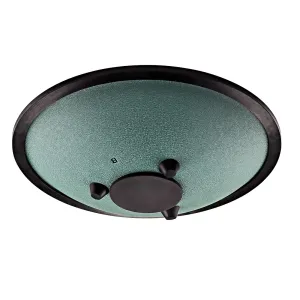 MEINL SONIC ENERGY CSTD1DG Compact Steel Tongue Drum 10" Si Mineur 432hz, 8 Notes, Dark Green