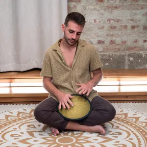 MEINL SONIC ENERGY CSTD3G Compact Steel Tongue Drum 10" Ré Mineur 432hz, 8 Notes, Gold