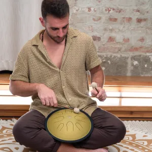 MEINL SONIC ENERGY CSTD3G Compact Steel Tongue Drum 10" Ré Mineur 432hz, 8 Notes, Gold