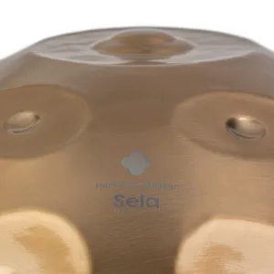 SELA SEHP201 Harmony Handpan D Kurd 11+2 Notes