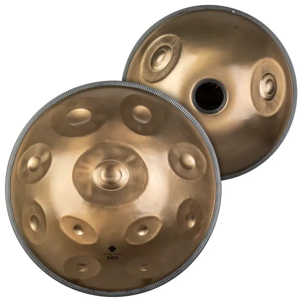 SELA SEHP201 Harmony Handpan D Kurd 11+2 Notes
