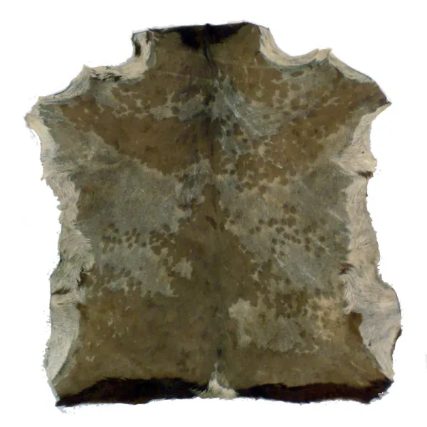 Peau Djembe Yoman Chevre Rasee