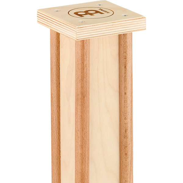 MEINL PRORM1NT PRO RAINMAKER