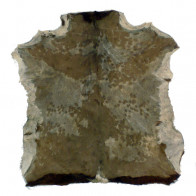 PEAU DJEMBE TRADITIONNELLE - CHEVRE