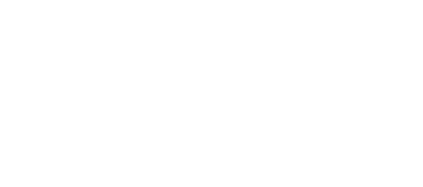 DS