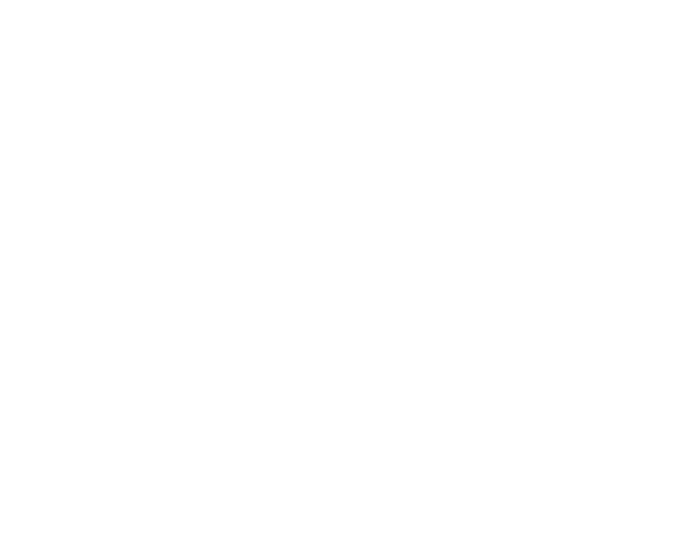 Zildjian